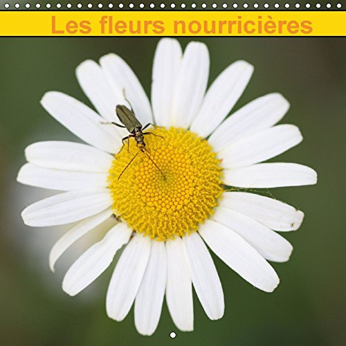 Les fleurs nourricières La parrure des fleurs nourricières. Calendrier mural 2017