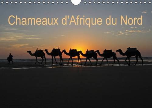 Chameaux d'Afrique du Nord Calendrier mural A4 horizontal 2017