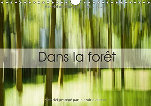 Dans la forêt Une suite d'images prises en Creuse... Calendrier mural A4 horizontal 2017