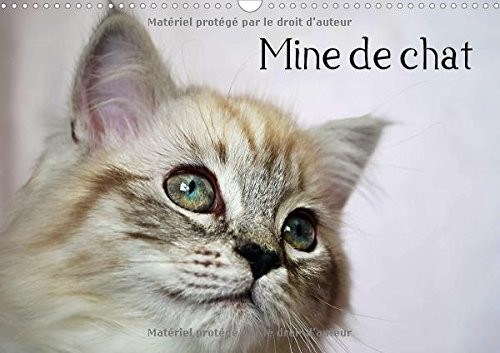 Mine de chat Photos fascinantes des tigres de salon prises de très près. Calendrier mural A3 horizontal