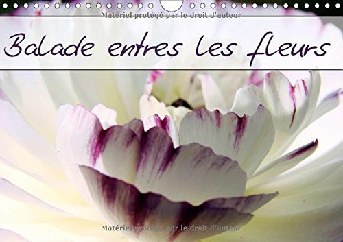 Balade entre les fleurs Photos de fleurs des champs et de jardins. Calendrier mural A4 horizontal
