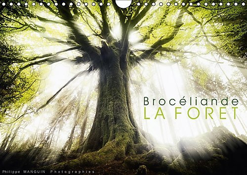 Broceliande, la forêt Calendrier mural A4 horizontal