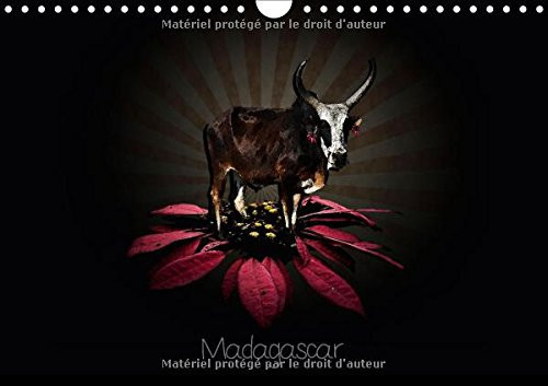 Madagascar Photographies de Madagascar. Calendrier mural A4 horizontal