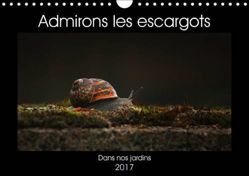 Admirons les escargots Dans nos jardins. Calendrier mural A4 horizontal