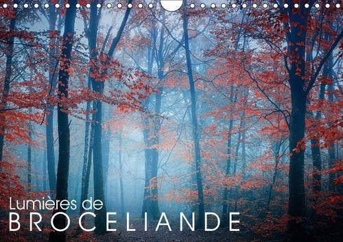 Lumières de Brocéliande Images de la forêt de Brocéliande. Calendrier mural A4 horizontal