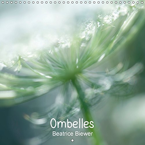 Ombelles 2018: La Carotte Sauvage (Calvendo Nature) (French Edition)