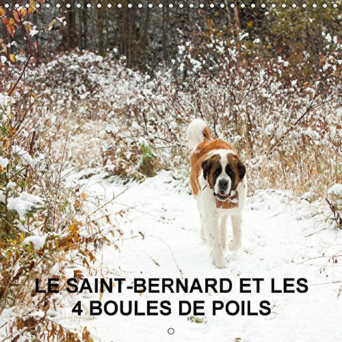 LE SAINT BERNARD ET LES 4 BOULES DE POILS CALENDRIER MURAL 2: GARDIENNAGE DE 5 ANIMAUX DOMES