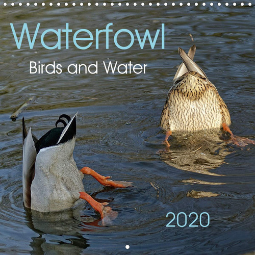 Waterfowl Birds and Water 2020: Ducks,geese,gulls,herons-they are all waterfowl. (Calvendo Animals)