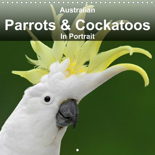 Australian Parrots & Cockatoos In Portrait 2020: Parrots & Cockatoos are wonderful and lovable birds. But do you know that nearly 50 percent of all ... percent very endangered? (Calvendo Animals)