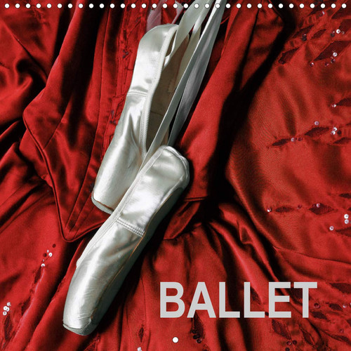BALLET 2020: Interesting photos from the ballet (Calvendo Art)