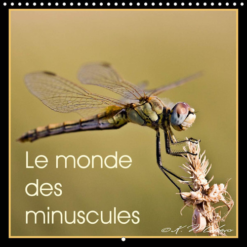 Le monde des minuscules 2020: Mise en beaute des Arthropodes (Calvendo Animaux) (French Edition)