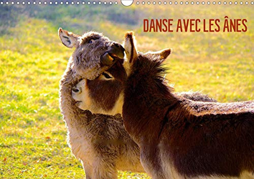 DANSE AVEC LES ANES 2020: Les anes d'Espanes de la region Midi-Pyrenees (Calvendo Animaux) (French Edition)