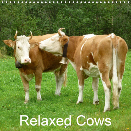 Relaxed Cows 2020: Cows in the Swiss aAps (Calvendo Animals)