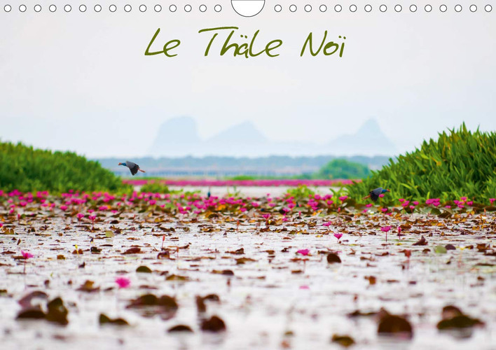 Le Thale Noi 2020: Lac thailandais dans la region de Tambon. (Calvendo Nature) (French Edition)