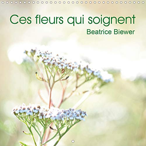 Ces fleurs qui soignent 2020: Quelques plantes medicinales (Calvendo Nature) (French Edition)
