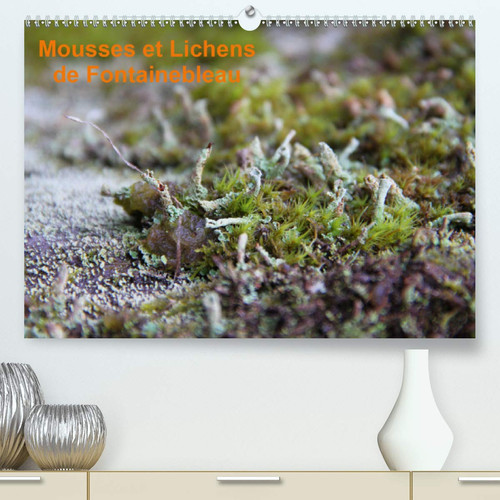Mousses et lichens de Fontainebleau(Premium, hochwertiger DIN A2 Wandkalender 2020, Kunstdruck in Hochglanz): 12 photos des mousses et lichens communs (Calendrier mensuel, 14 Pages ) (French Edition)