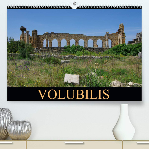 Volubilis(Premium, hochwertiger DIN A2 Wandkalender 2020, Kunstdruck in Hochglanz): La cité antique éclot à partir du IIIe siècle av. J.-C. Elle est ... de l'UNESCO. (Calendrier mensuel, 14 Pages )