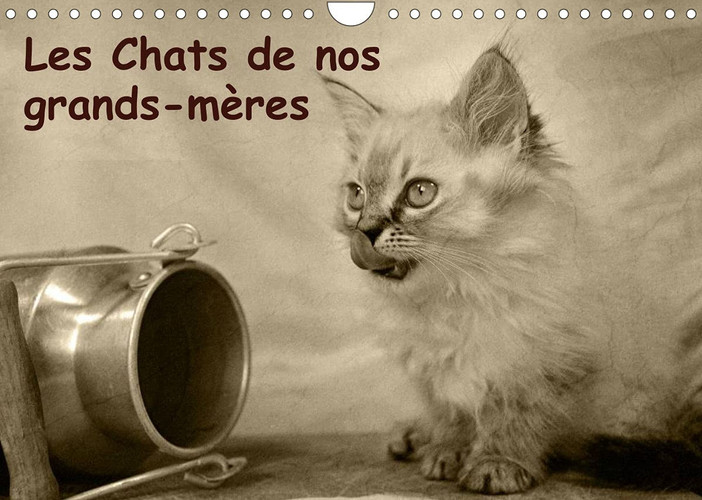 Les Chats de nos grands-mères (Calendrier mural 2022 DIN A4 horizontal): Merveilleuses photos qui rappellent l'heureux ancien temps. (Calendrier mensuel, 14 Pages )