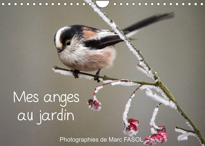 Mes anges au jardin (Calendrier mural 2022 DIN A4 horizontal): Espèces communes des jardins... du moins, là où la biodiversité est reine (Calendrier mensuel, 14 Pages )