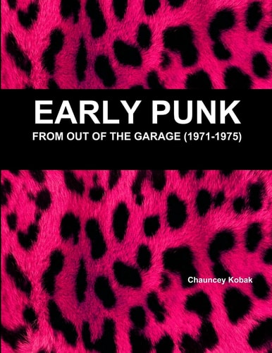 Early Punk From Out of the Garage (1971-1975)