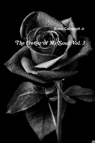 The Owner of My Soul: Vol 3