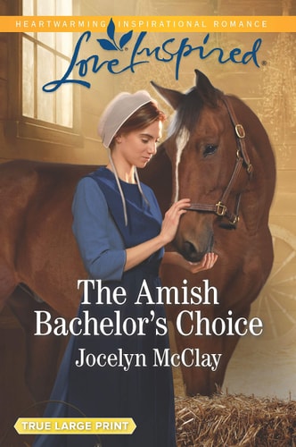 Edition published by Harlequin Enterprises, Limited