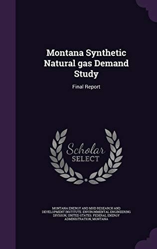 Montana Synthetic Natural Gas Demand Study Final Report