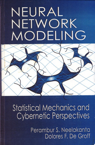 Neural Network Modeling