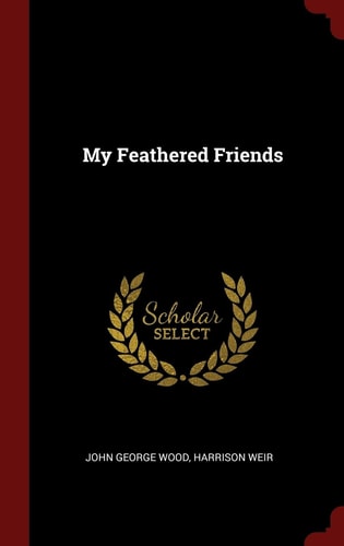 My Feathered Friends