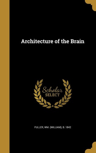 Architecture of the Brain