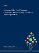 Migratory Cells That Upregulate Chondroitin Sulfate Proteoglycans in the Injured Spinal Cord
