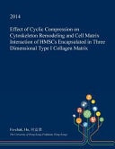 Effect of Cyclic Compression on Cytoskeleton Remodeling and Cell Matrix Interaction of Hmscs Encapsulated in Three Dimensional Type I Collagen Matrix