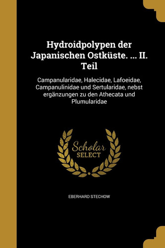 Hydroidpolypen der japanischen Ostküste
