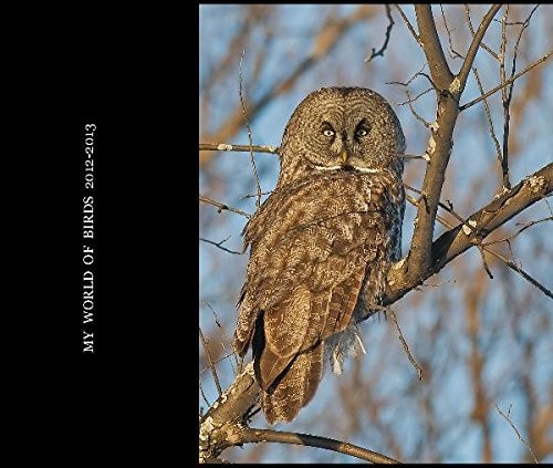 My World of Birds 2012-2013