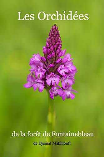 Les Orchidées de la forêt de Fontainebleau
