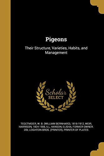 Pigeons
