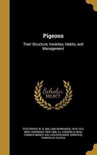 Pigeons Their Structure, Varieties, Habits, and Management