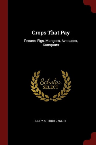 Crops That Pay Pecans, Figs, Mangoes, Avocados, Kumquats