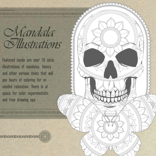 Big Mandala Illustrations