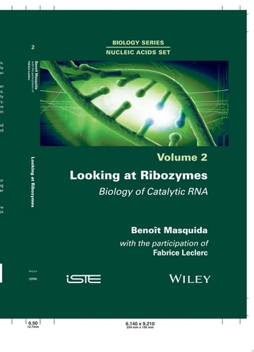 Looking at Ribozymes