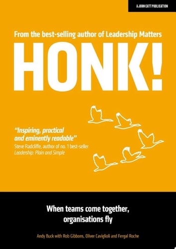HONK: When teams come together, organisations fly