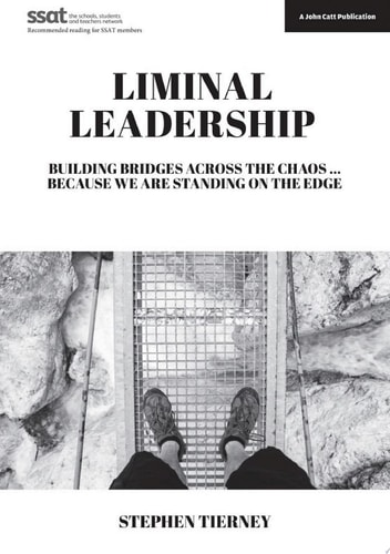Liminal Leadership: Building Bridges Across the Chaos... Because We are Standing on the Edge