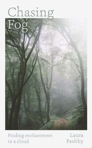 Chasing Fog Finding Enchantment in a Cloud