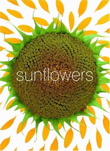 Sunflower Small Note Cards