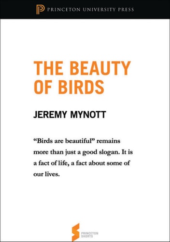 The Beauty of Birds