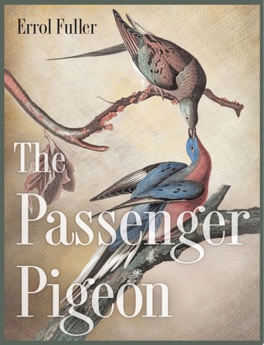 The Passenger Pigeon