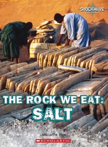 The Rock We Eat Salt