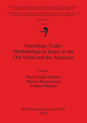 Traceology Today Methodological Issues in the Old World and the Americas