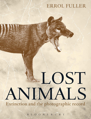 Edition published by A&C Black