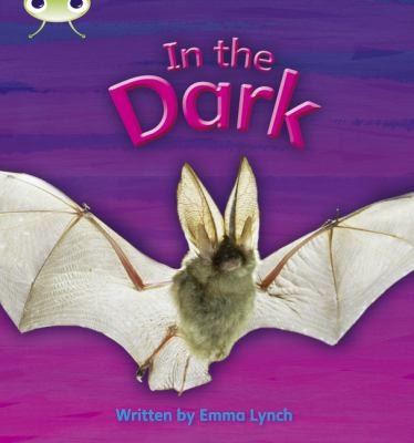 Phonics Bug in the Dark Phase 3